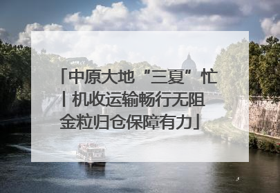 中原大地“三夏”忙丨机收运输畅行无阻 金粒归仓保障有力