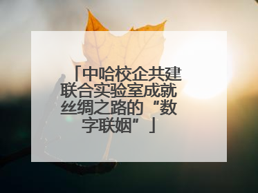 中哈校企共建联合实验室成就丝绸之路的“数字联姻”