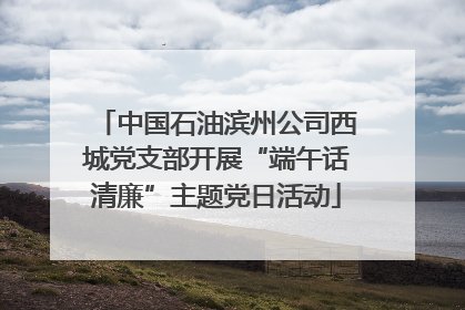 中国石油滨州公司西城党支部开展“端午话清廉”主题党日活动