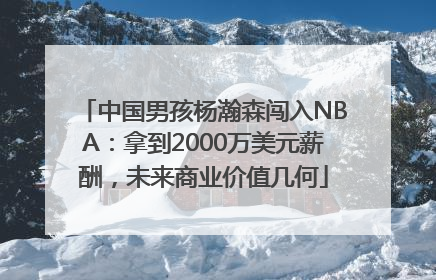 中国男孩杨瀚森闯入NBA：拿到2000万美元薪酬，未来商业价值几何