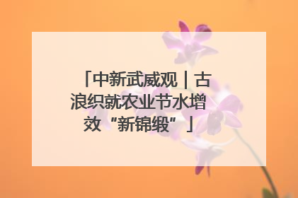 中新武威观｜古浪织就农业节水增效“新锦缎”