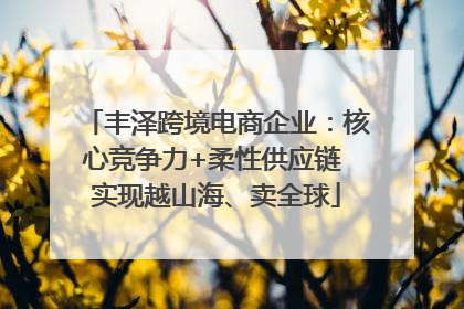 丰泽跨境电商企业：核心竞争力+柔性供应链 实现越山海、卖全球