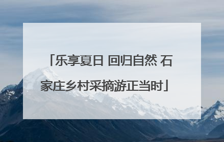 乐享夏日 回归自然 石家庄乡村采摘游正当时