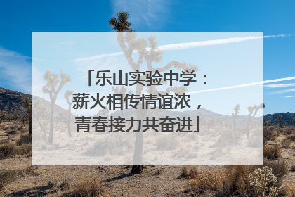 乐山实验中学：薪火相传情谊浓，青春接力共奋进