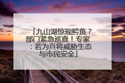九山湖惊现鳄鱼？部门紧急巡查！专家：若为真将威胁生态与市民安全