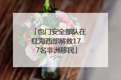 也门安全部队在红海西部解救177名非洲移民
