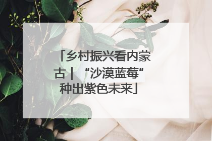 乡村振兴看内蒙古｜“沙漠蓝莓”种出紫色未来