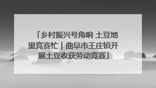 乡村振兴号角响 土豆地里竞赛忙｜曲阜市王庄镇开展土豆收获劳动竞赛
