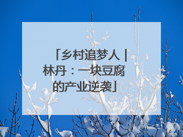 乡村追梦人｜林丹：一块豆腐的产业逆袭