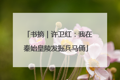 书摘｜许卫红：我在秦始皇陵发掘兵马俑
