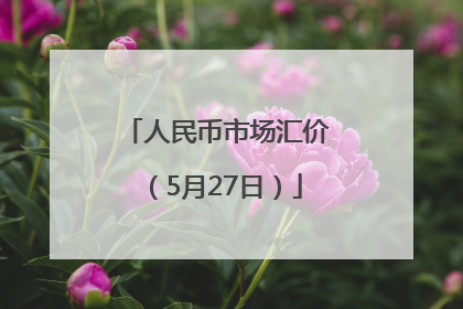 人民币市场汇价（5月27日）