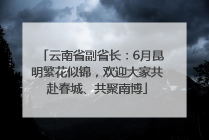 云南省副省长：6月昆明繁花似锦，欢迎大家共赴春城、共聚南博