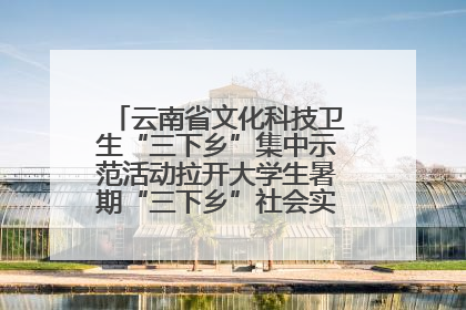 云南省文化科技卫生“三下乡”集中示范活动拉开大学生暑期“三下乡”社会实践活动序幕