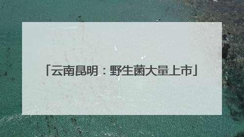 云南昆明：野生菌大量上市