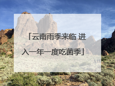 云南雨季来临 进入一年一度吃菌季