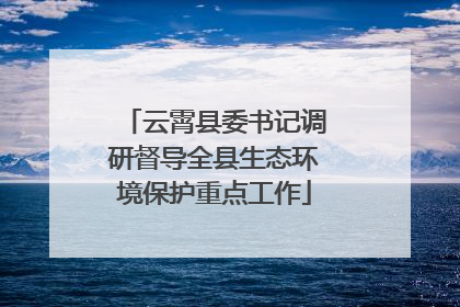 云霄县委书记调研督导全县生态环境保护重点工作