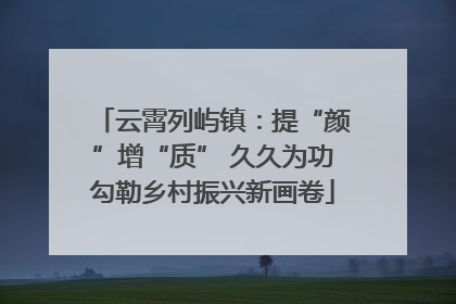 云霄列屿镇：提“颜”增“质” 久久为功勾勒乡村振兴新画卷