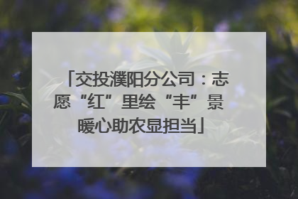 交投濮阳分公司：志愿“红”里绘“丰”景 暖心助农显担当