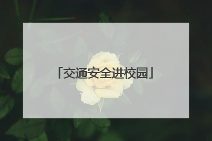 交通安全进校园