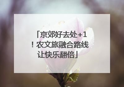 京郊好去处+1！农文旅融合路线让快乐翻倍