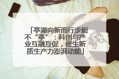 亭湖向新而行步履不“亭”：科创与产业互融互促，催生新质生产力澎湃动能
