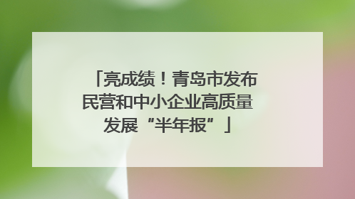 亮成绩！青岛市发布民营和中小企业高质量发展“半年报”