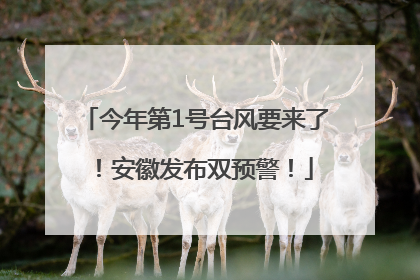 今年第1号台风要来了！安徽发布双预警！