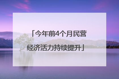 今年前4个月民营经济活力持续提升