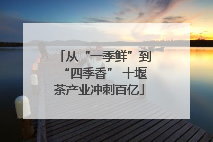 从“一季鲜”到“四季香” 十堰茶产业冲刺百亿