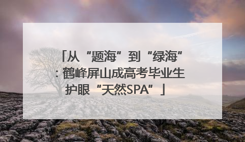 从“题海”到“绿海”：鹤峰屏山成高考毕业生护眼“天然SPA”