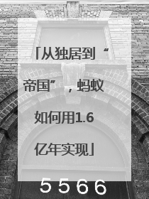 从独居到“帝国”，蚂蚁如何用1.6亿年实现