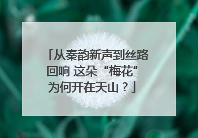 从秦韵新声到丝路回响 这朵“梅花”为何开在天山？