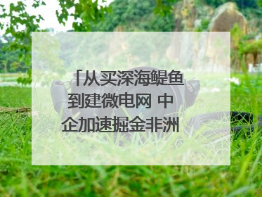 从买深海鳀鱼到建微电网 中企加速掘金非洲现代化｜直击中非经贸博览会