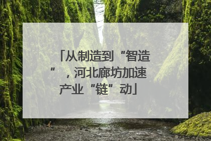 从制造到“智造”，河北廊坊加速产业“链”动