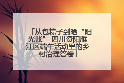 从包粽子到晒“阳光账” 四川资阳雁江区端午活动里的乡村治理答卷