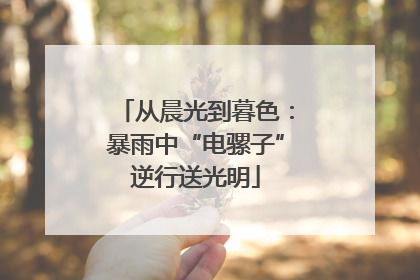 从晨光到暮色：暴雨中“电骡子”逆行送光明