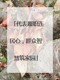 代表履职连民心，群众智慧筑家园