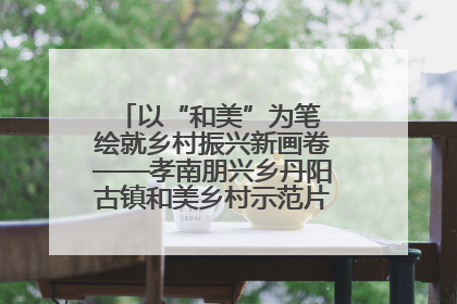 以“和美”为笔 绘就乡村振兴新画卷——孝南朋兴乡丹阳古镇和美乡村示范片区建设综述