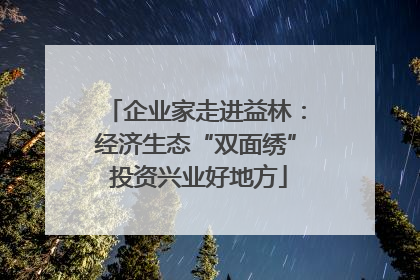 企业家走进益林：经济生态“双面绣” 投资兴业好地方