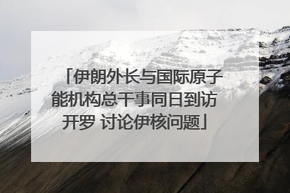 伊朗外长与国际原子能机构总干事同日到访开罗 讨论伊核问题