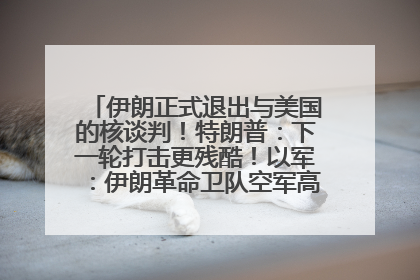 伊朗正式退出与美国的核谈判！特朗普：下一轮打击更残酷！以军：伊朗革命卫队空军高层指挥系统已被击垮