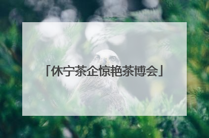 休宁茶企惊艳茶博会