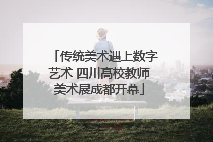 传统美术遇上数字艺术 四川高校教师美术展成都开幕