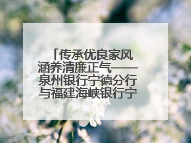 传承优良家风 涵养清廉正气——泉州银行宁德分行与福建海峡银行宁德分行开展主题党日活动