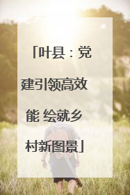 叶县：党建引领高效能 绘就乡村新图景