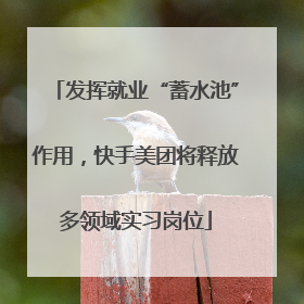 发挥就业“蓄水池”作用，快手美团将释放多领域实习岗位