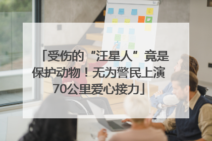 受伤的“汪星人”竟是保护动物！无为警民上演70公里爱心接力