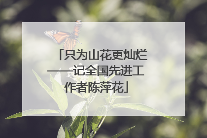 只为山花更灿烂——记全国先进工作者陈萍花