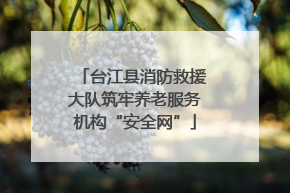 台江县消防救援大队筑牢养老服务机构“安全网”