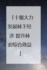 十堰大力发展林下经济 提升林农综合效益
